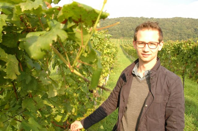 2014 Sommelier-Weinreise Steiermark